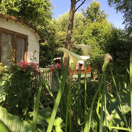 Roulottes Du Rouard Bed and Breakfast Camiers Eksteriør billede