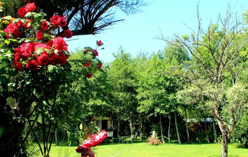 Roulottes Du Rouard Bed and Breakfast Camiers Værelse billede