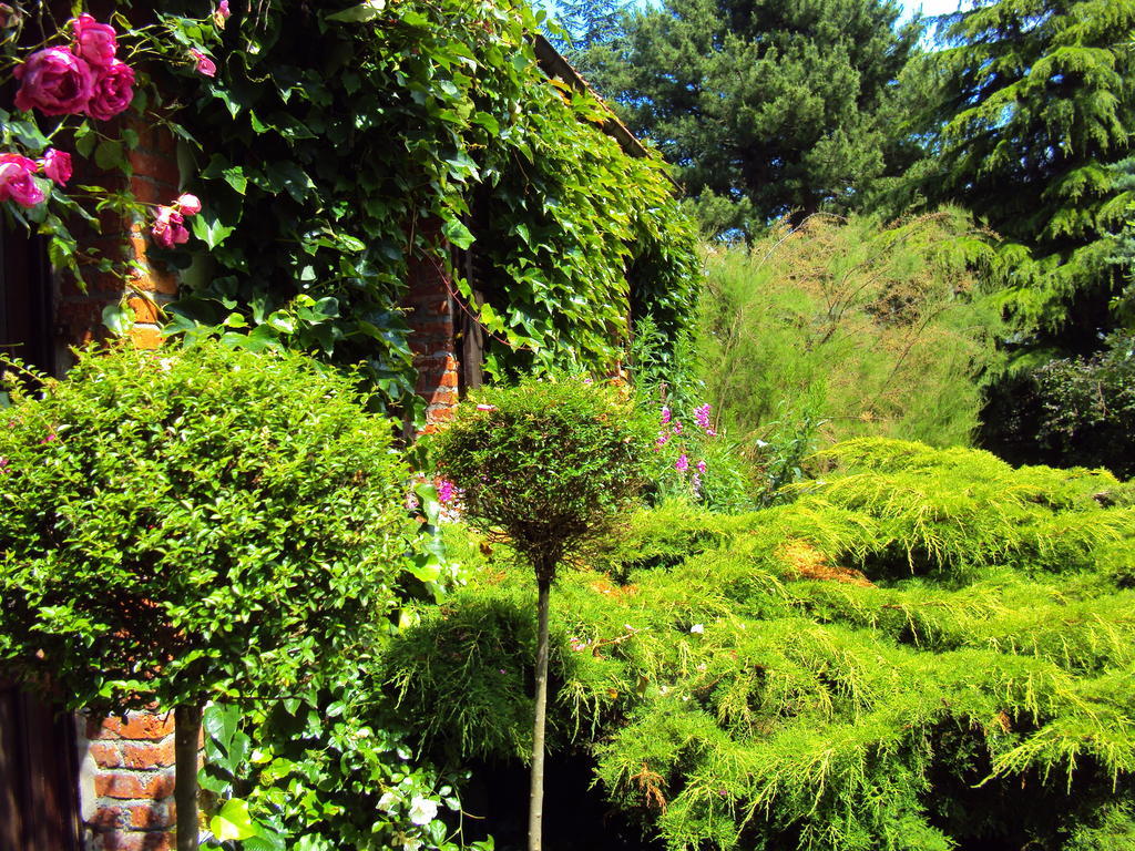 Roulottes Du Rouard Bed and Breakfast Camiers Eksteriør billede