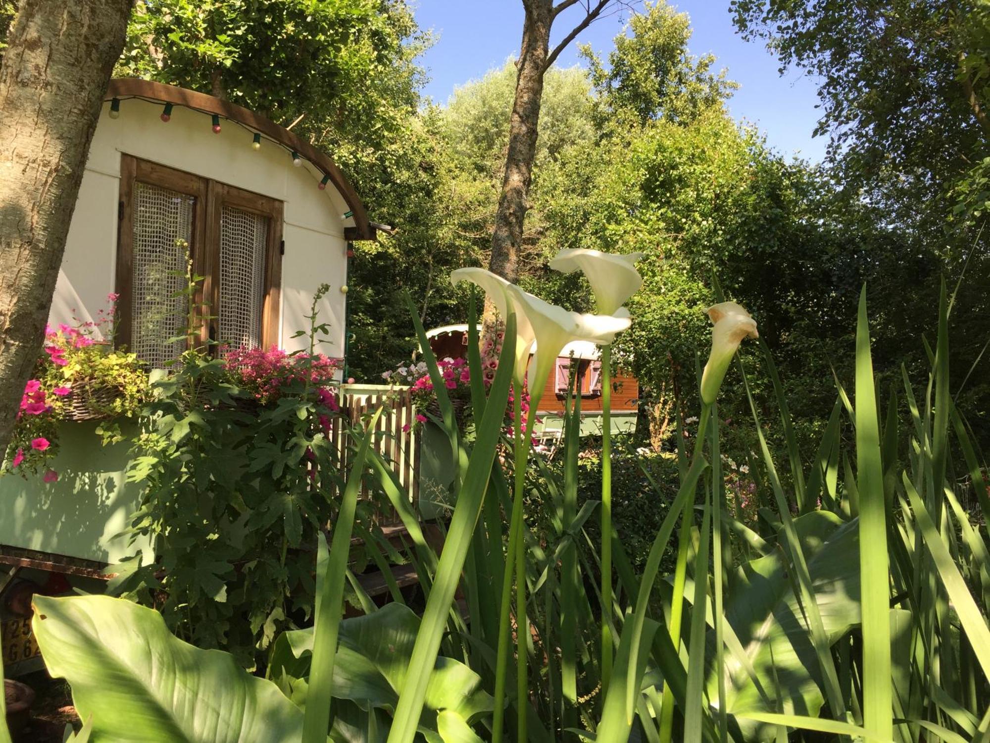 Roulottes Du Rouard Bed and Breakfast Camiers Eksteriør billede