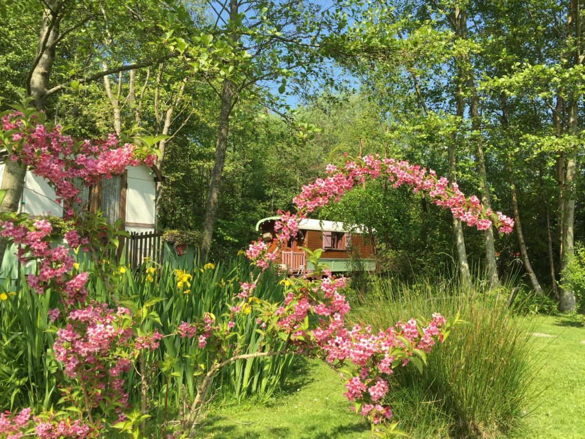 Roulottes Du Rouard Bed and Breakfast Camiers Eksteriør billede