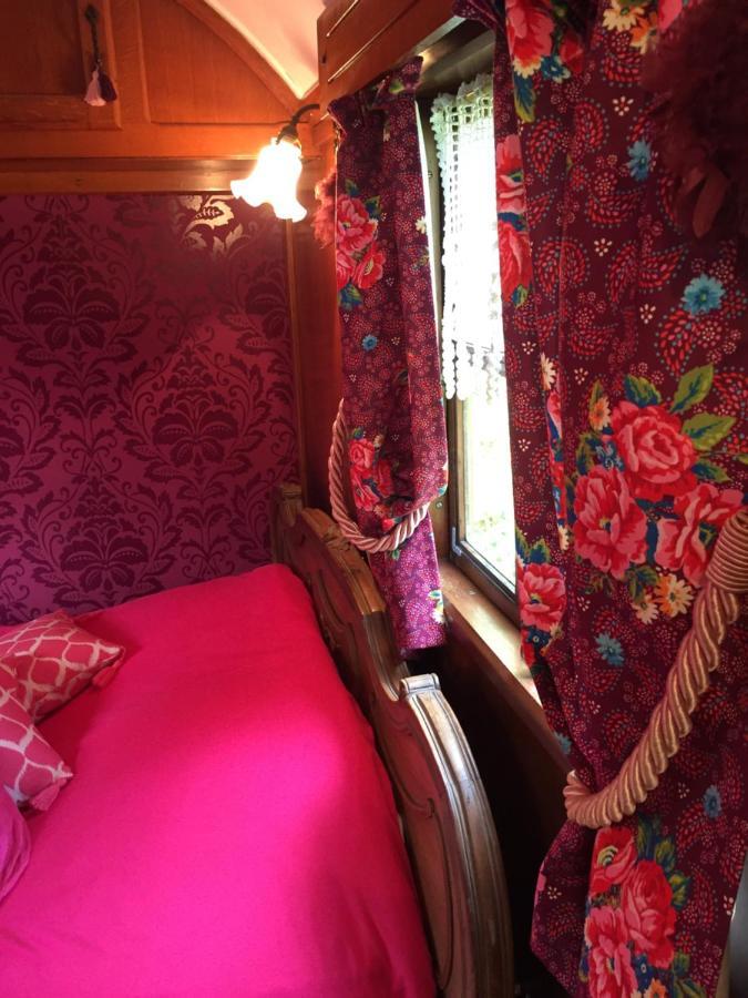 Roulottes Du Rouard Bed and Breakfast Camiers Eksteriør billede